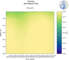 Time series of Norwegian Sea Salinity vs depth